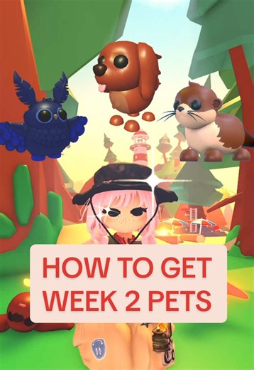 this is how to get the Irish Setter, River Otter, and Stygian Owl in Adopt Me 🏕️ who's ur favorite WEEK 2 pet? #adoptme #adoptmepets #cocopinksky #roblox