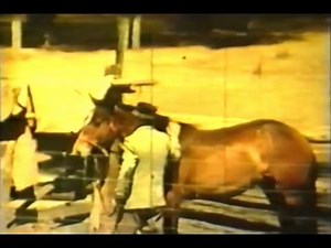 Horse Breaking - The Jeffery Way (aka 'The Jeffery Method')