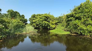 Virtual Rowing - Tropical Lagoon - Sri Lanka