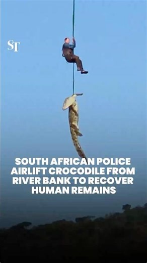 Police in South Africa airlifts crocodile to recover human remains