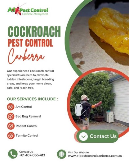 Cockroach Pest Control Canberra | Get Rid of Roaches Fast #shorts