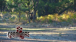 Follow Calvin Redhouse in the Navajo Reservation as he gets great shots of the beautiful wildlife! | Carnivore TV