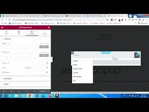 Auto Set Focus (Pointer) to Elementor Search Form