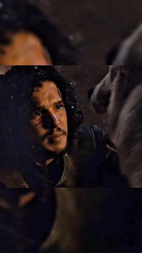 thethronesbook on Instagram: "Direwolves in the Books: Their Lost Potential #gameofthrones #asoiaf #HBO #HouseOfTheDragon #GoT"