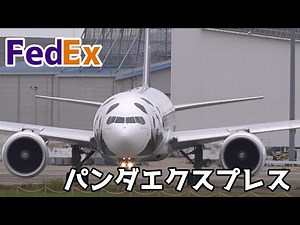 【FEDEX パンダエクスプレス 成田空港に飛来】 2024.10.25 ４K撮影 NARITA Airport 成田空港 FEDEX B777-200 N893FD ひこうきの丘 北風運用