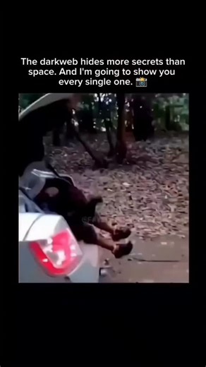 dark.wed.clipz on Instagram: "日本利用压电瓷砖将脚步转化为电能。这些瓷砖捕捉来自你脚步的动能。当你行走时，你的重量和动作会对瓷砖产生压力。瓷砖会轻微弯曲，从而产生机械应力。瓷砖内部的压电材料将这种应力转化为电能。每一步都会产生少量电荷，而数百万步结合在一起就能产生足够的电力来驱动LED 灯、数字显示屏和传感器。在像涩谷车站这样繁忙的地方，每天大约有240万个脚步为这一系统作出贡献。 这些电能可以被储存或立即使用，从而减少对传统电力来源的依赖，并支持可持续的城市基础设施。 这种方法将日常运动转化为实用的可再生能源 #日本#知识#事实 #你知道吗 #推荐 #科技#创新#历史 #技术 #实验#热门"