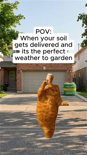 When That Perfect Weather Hits... #memes