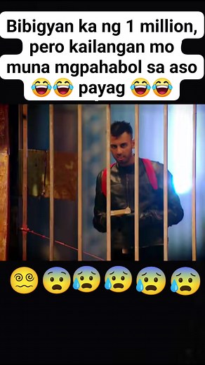 1.8M views · 19K reactions | Bibigyan ka 1 million pesos kailangan mo lang magpahabol sa aso  #japanlife #fbreels2025ツ #trendingvideo | Sushii Desu | Facebook