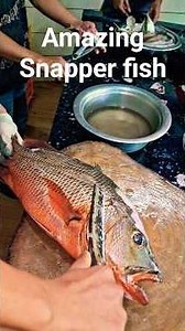 red Snapper Fishcutting, freshwater fishfry piece or curry cut _मछली कुटिंग #fishskills #viralvideo