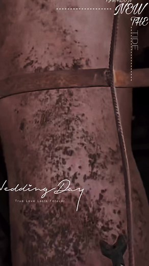 cattel prod on TikTok