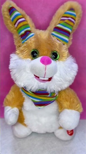 Hello my name Poppy #shorts #fyp #viral #bunny