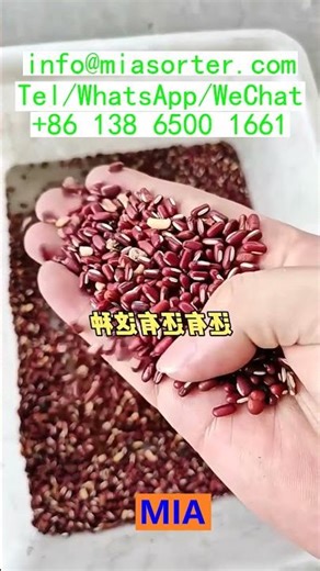 Color Sorter Parts Supplier USA China Vietnam Brazil Turkey Egypt Nigeria