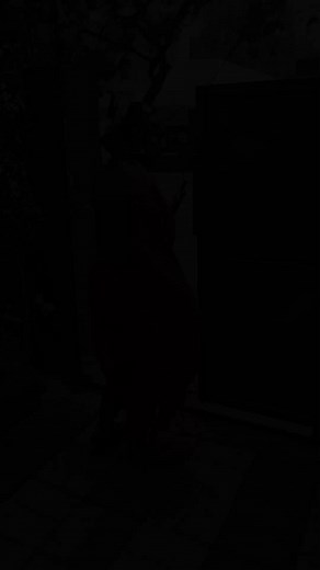 9.2M views · 162K reactions | Aaato Anne ! Narada Gana Sabha Poganum  #margazhi #performance #chennai #auto #naradaganasabha #season #december #shobana | Shobana | Facebook