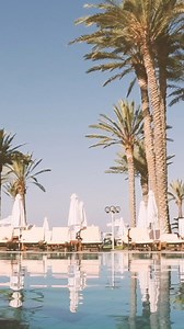 Interview with the Hotel Manager of TUI Blue Pioneer Beach by Constantinou Bros Hotels! @pioneerbeach_hotel . . #paphos #cyprus #zypern #holiday #summer | Constantinou Bros Pioneer Beach Hotel