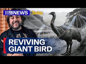 One of the world's tallest flightless birds could be brought back from extinction | 9 News Australia