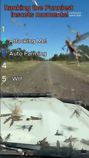 Ranking Funniest Moments When Insects Go Wild!