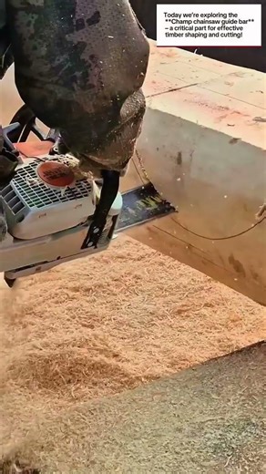 Champ Chainsaw Guide Bar - Educational Short on Woodworking Tool Components"