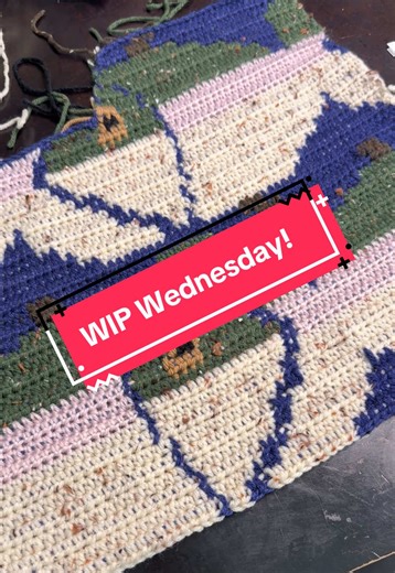 Colorful Fish Sweater Crochet Project