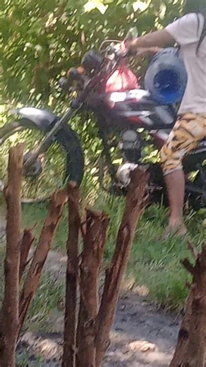 Vivian Velez on Reels