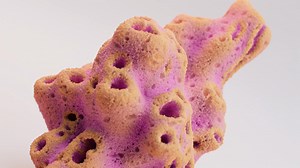 Procedural Sponge Material in MaterialX & Copernicus | SideFX