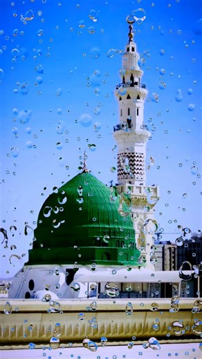 Ahwrun Ahwrun ✨😌 #allah #foryou #shorts