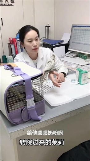 Bizarre Pet Cases: The Ultimate Vet Show