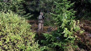 Comment j’ai attiré un cerf pendant le rut