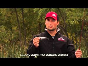 Berkley Jerkbait Color Selection: Why the color of this hard bait matters