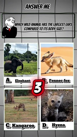 QuizTime#quiz #dailyquiz #wildanimals #animals #facts