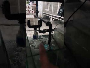 aquarium set-up with automatic water change