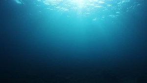 clip-1026247217-underwater-blue-background-ocean