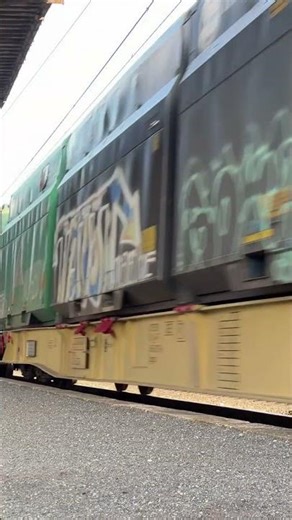 This Train Is INSANELY Long 🚂 #train #freighttrain #trainspotting