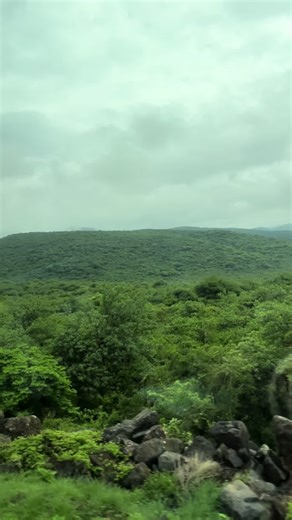 Humorous Siri vs. Alexa Misunderstanding Skit