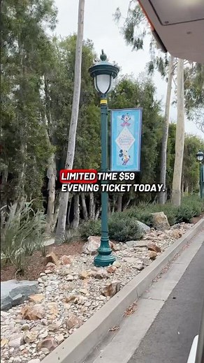 Disneyland Announced Limited Time Evening Ticket Deal