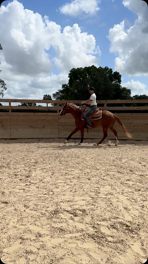 Come on, BOOTS! VS Code Red x Shez Sleepy (TSTZ x Rhapsody in the rain) 2023 gelding #WhataRipperllc #JMSHInternational | Julian Harris