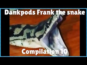 Dankpods frank the snake compilation 10