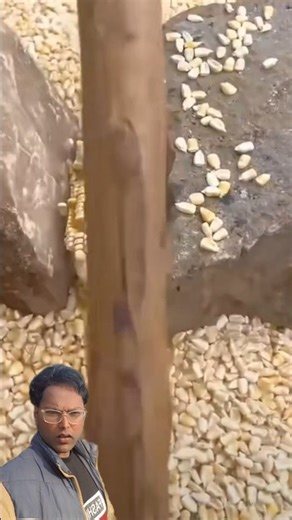 Ancient Corn Processing Method Still Used in China