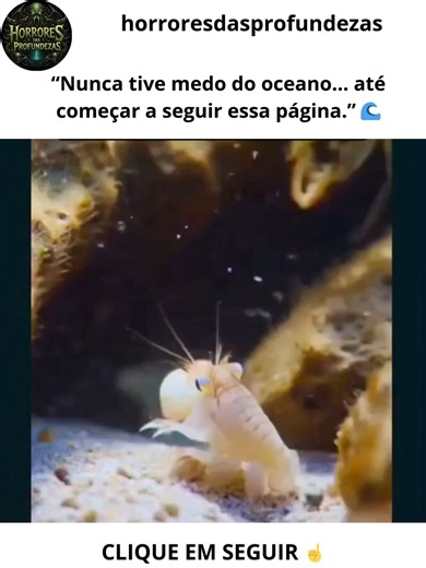 🌊 O oceano cobre mais de 70% da superfície da Terra. Mesmo assim, ainda conhecemos apenas uma pequena parte das suas profundezas. Muita gente acredita que o mar foi “deixado de lado” pelas grandes agências espaciais. Mas a verdade é outra. A missão da NASA sempre foi estudar o espaço, a atmosfera e o planeta como um sistema completo — e os oceanos são parte essencial desse sistema. Estudar o oceano não significa apenas enviar expedições até o fundo do mar. Grande parte das informações mais impo