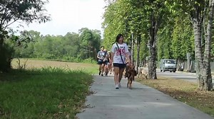 48K views · 1.5K reactions | SOSD takes in 20-30 dogs a month, and...