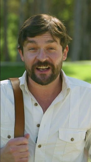 GO Wild Area Sighting: Amped Form Toxtricity and Low Key Form Toxtricity