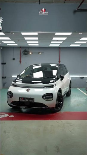 Full PPF Installation on MG Windsor | Complete Paint Protection in Bangalore