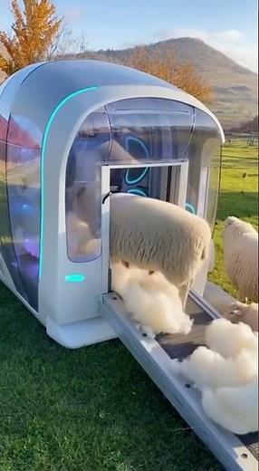 🐑✂️ Revolutionary Sheep Shearing Machine: You Won't Believe How It Works! 😲