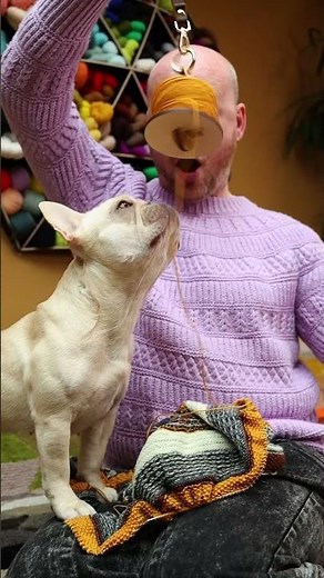 Knitting on the Go with the Lemonwood Mini Minder