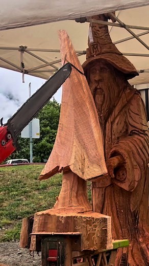 Chainsaw Rhythm — The Tree Takes Shape 🌲🎶 There’s something about those first cuts… when the log starts dancing to the blade. Quick carve start to a full tree. More to come. #chainsawcarving #ChainsawCarving #TreeCarving #WoodArt #QuickCarve #PowerTools #CarverLife #SawdustTherapy #SculptingInSeconds #RyanCookCarvin #Woodworking