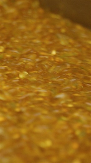 When it comes to Nutrilite™ Omega softgels, our quality assurance is thorough: we check seam thickness for a perfect seal, confirm each fill weight, and test hardness so nutrients are absorbed just right. ✔️ 👀We also do a final visual check, looking for odd shapes or color variations to the capsules. Sorting and sizing wrap it all up, ensuring every bottle is full of softgels that are pure, safe, and effective. #FromOurManufacturing #AmwayLife #Nutrilite #Traceability | Nutrilite