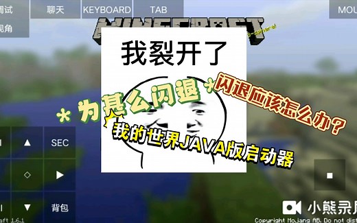 为什么我玩我的世界java版启动器闪退？