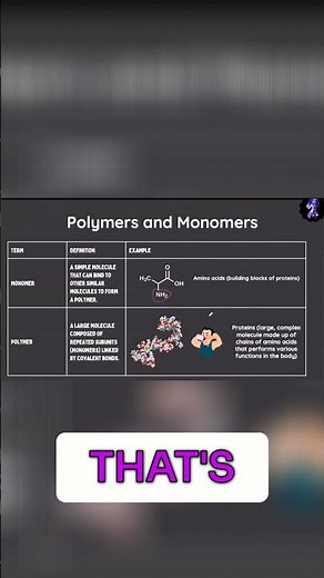 Amino Acids: Building Blocks of Proteins Explained