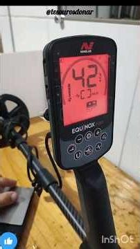 Você já achou aliança de ouro com seu detector ? confere esses ids #detectorismo #viraliza