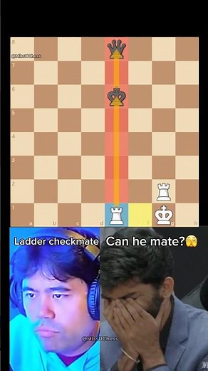 HOW TO WIN 2 ROOKS VS 1 QUEEN ENDGAMES‼️ #chess #chessgame #checkmate