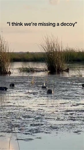 Gator Hunting Adventures with Friends on Mad Island